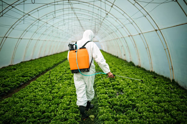 Best Pest Control Near Me in Emeryville, CA