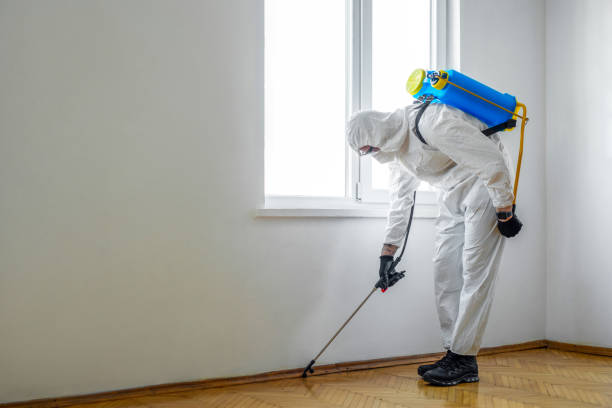 Best Best Pest Control Companies  in Emeryville, CA